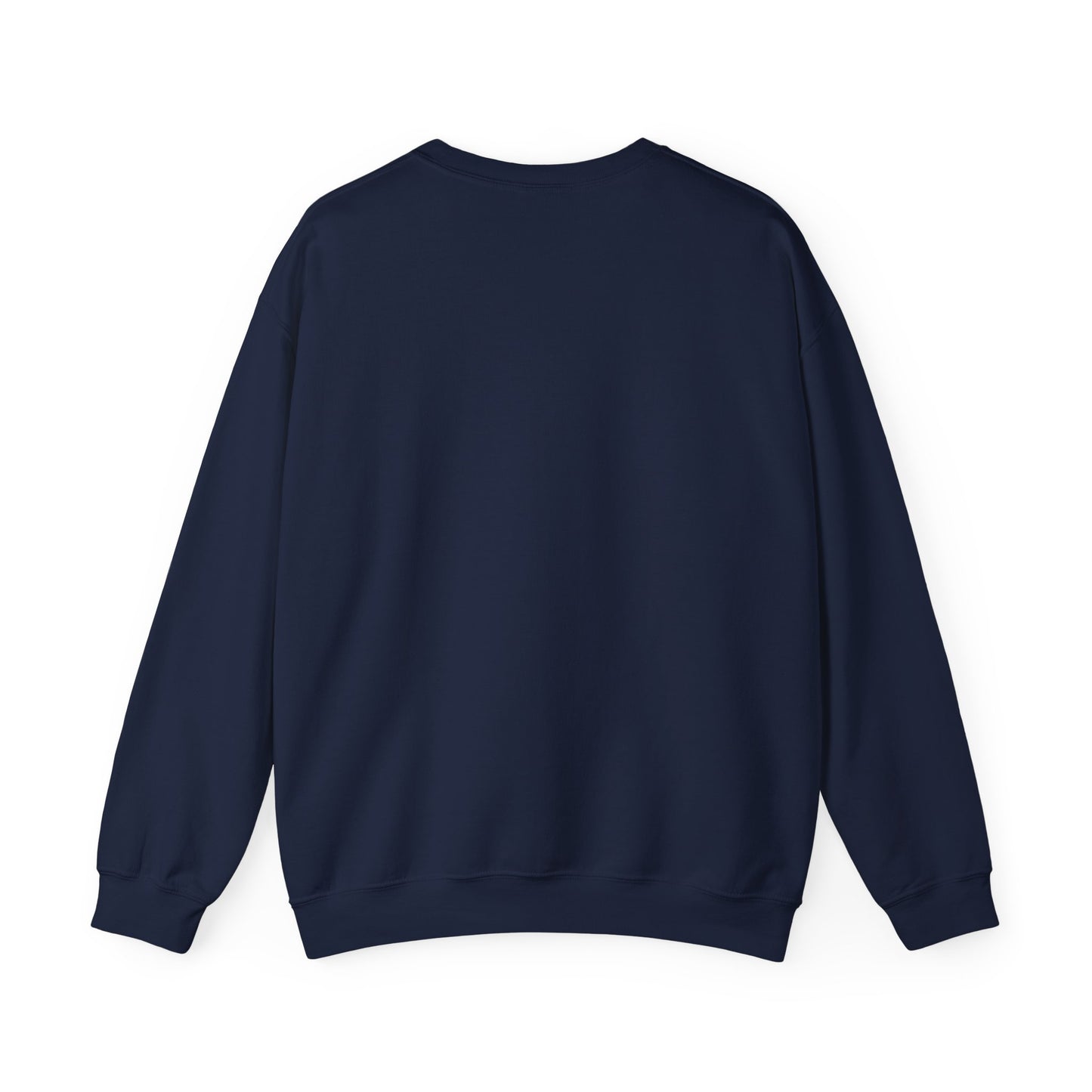 Back of navy blue sweatshirt on a white background