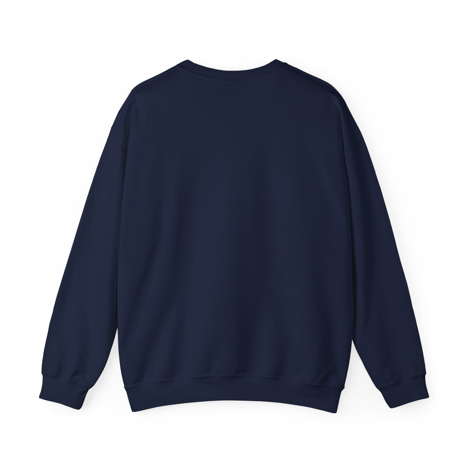 Back of navy blue sweatshirt on a white background