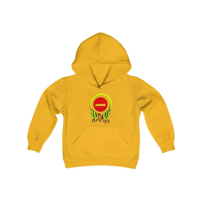 Youth Do Not Disturb Hoodie for Music Lover with Music Notes – Do Not Disturb, I'm Vibing. | US - Ohhh So Swag